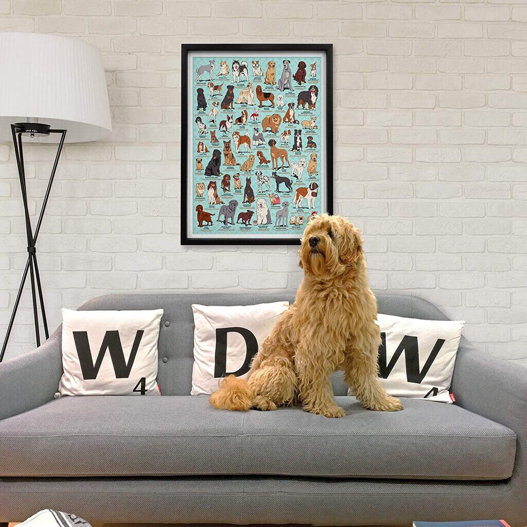 Dog Lover&#39;s 1000 Piece Jigsaw Puzzle - Giftsmith