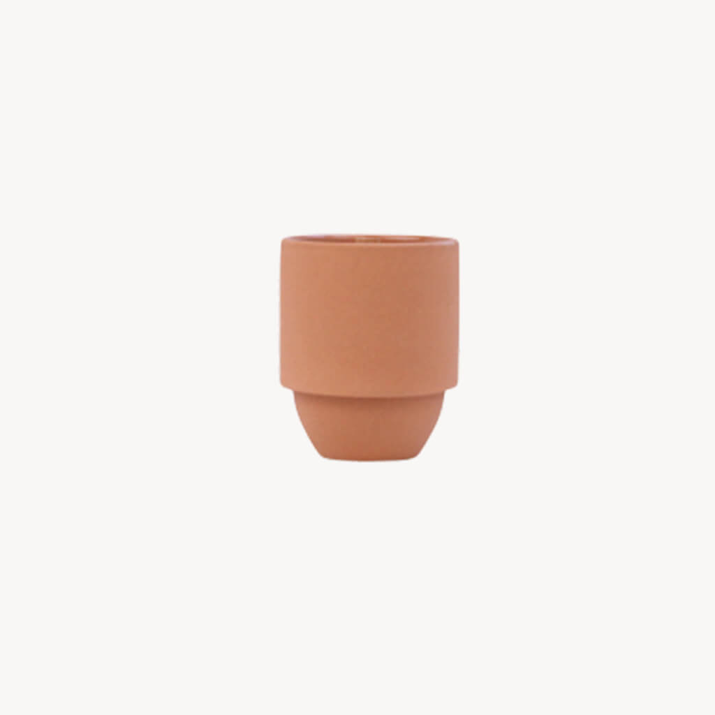 Parks Grand Canyon Cactus Flower + Fern - Giftsmith