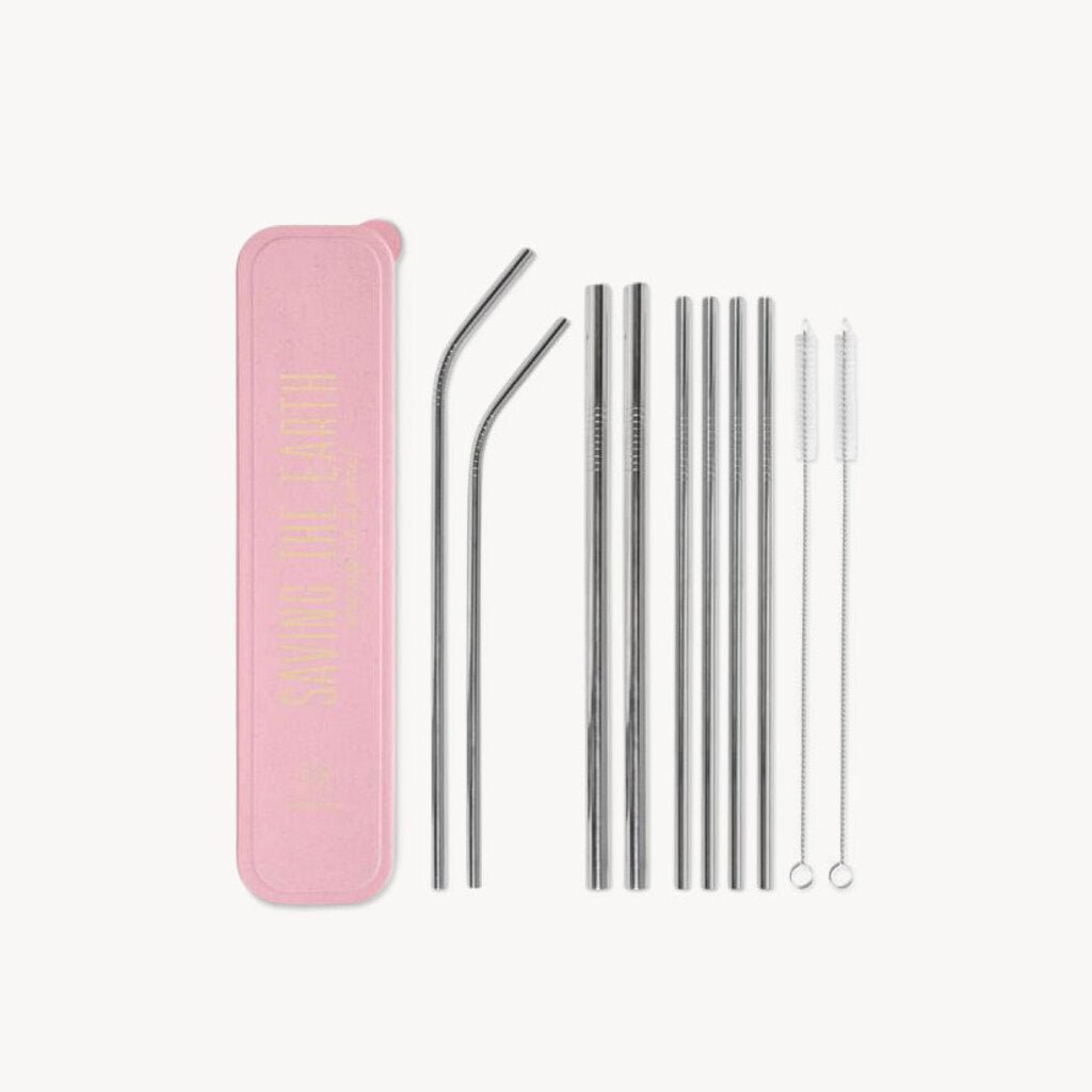 Stainless Steel Straw Set Saving The Earth - Giftsmith