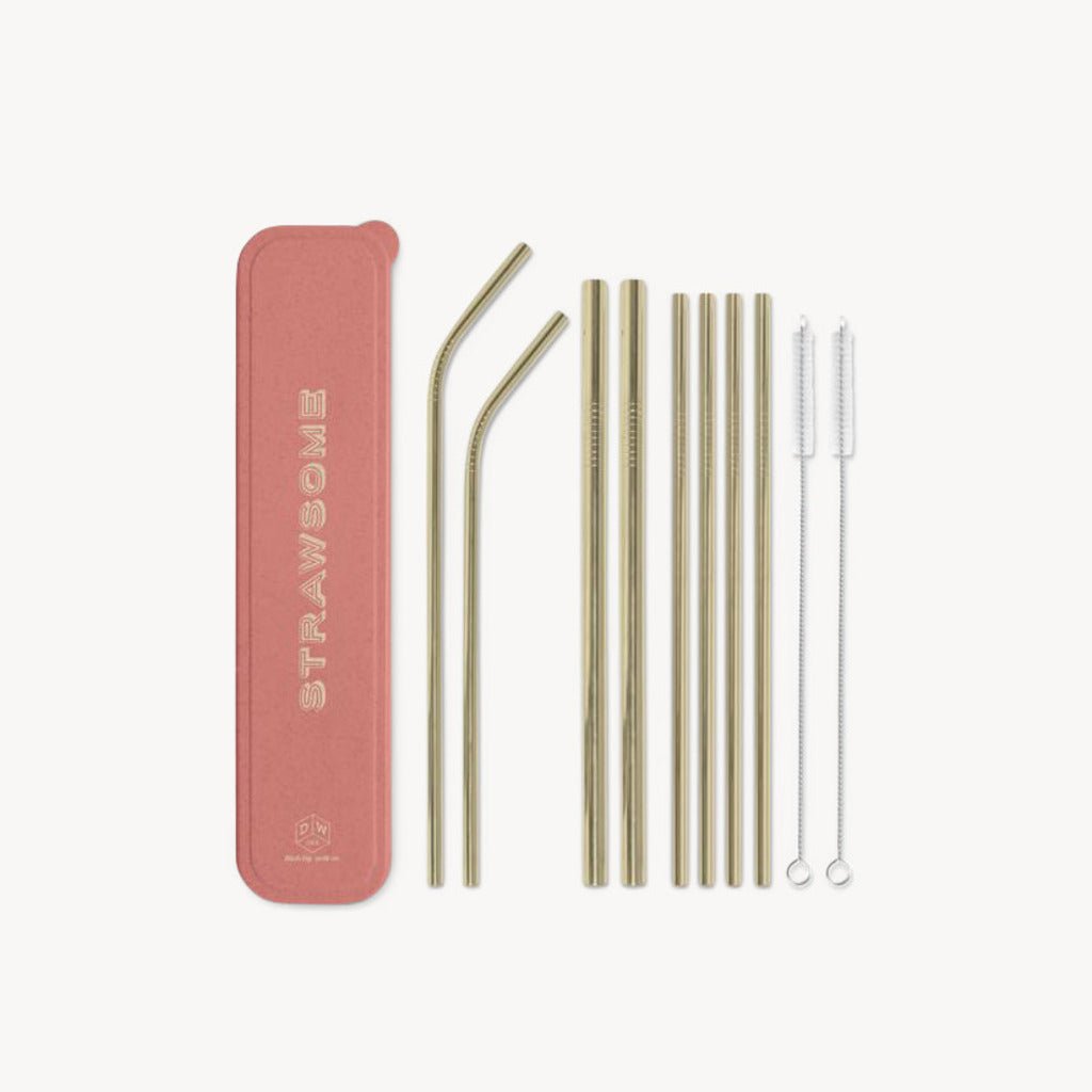 Stainless Steel Straw Set Strawsome - Giftsmith