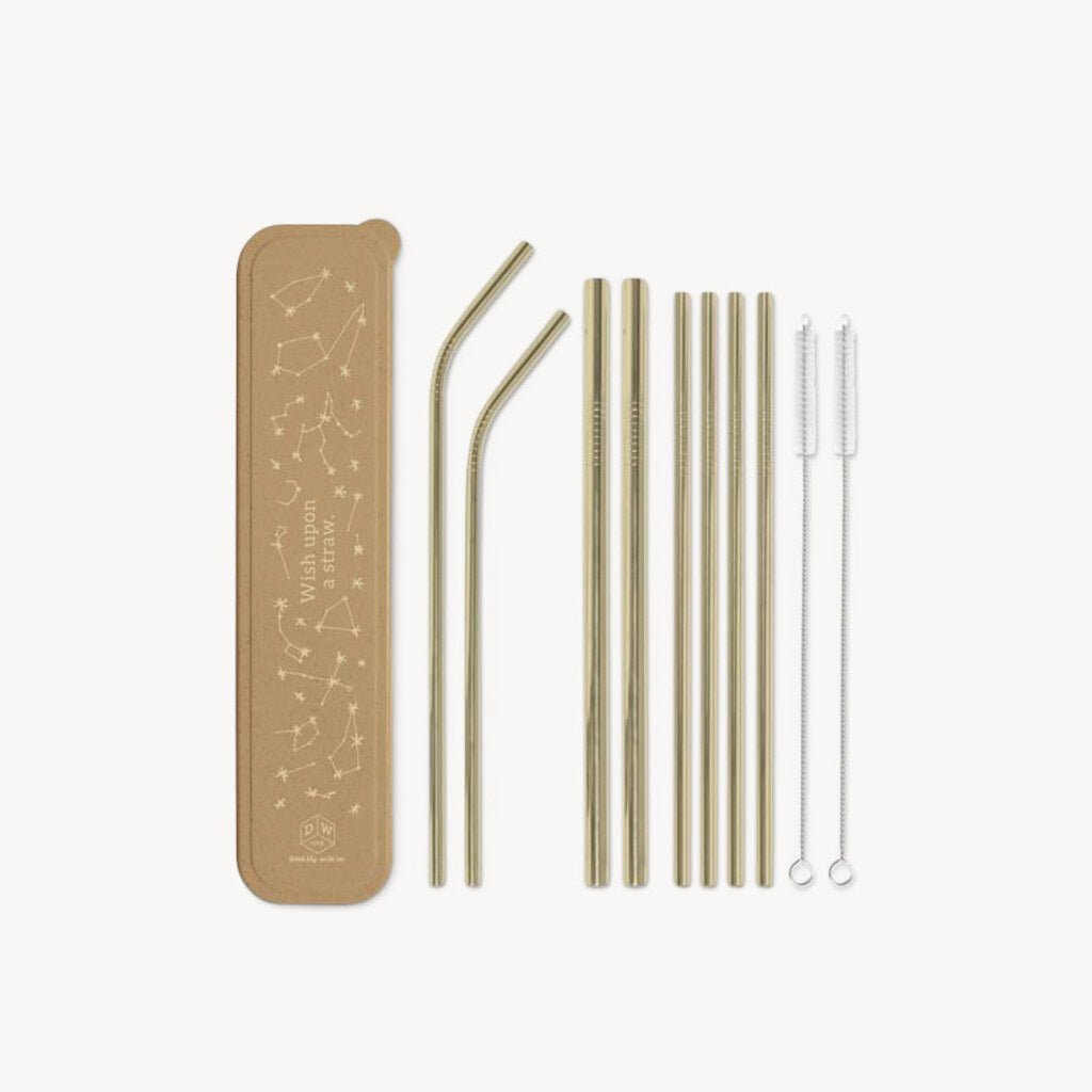 Stainless Steel Straw Set Wish Upon A Straw - Giftsmith